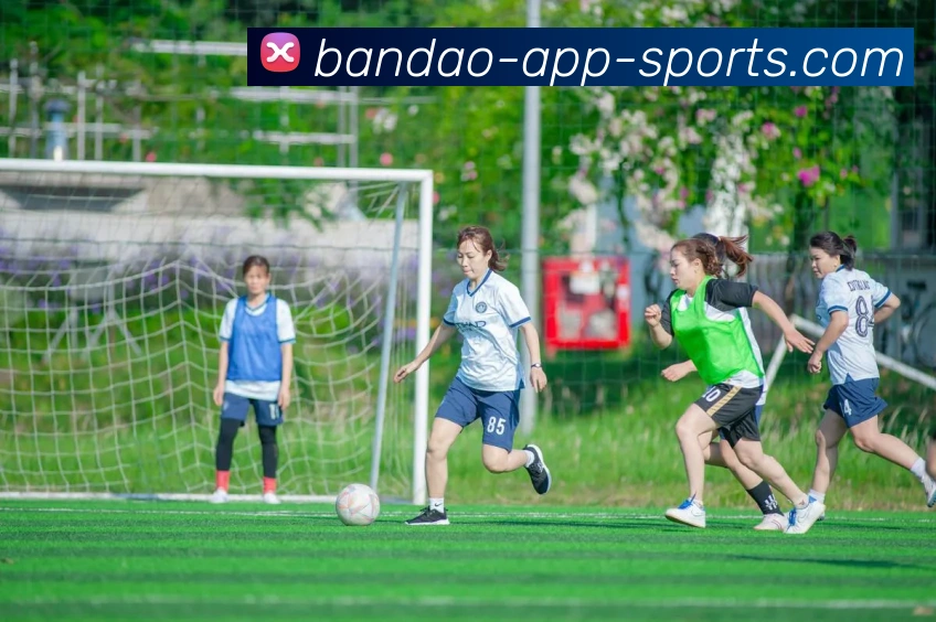 半岛体育服务体系